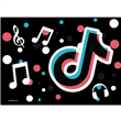 Individuales Tik Tok 8u